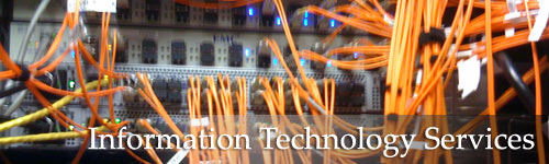 TWU Information Technology Services