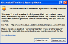 Macro Warning Window