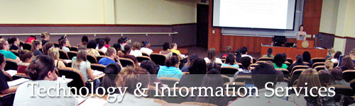 Technology & Information Services