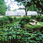 thumbnail greenhouse