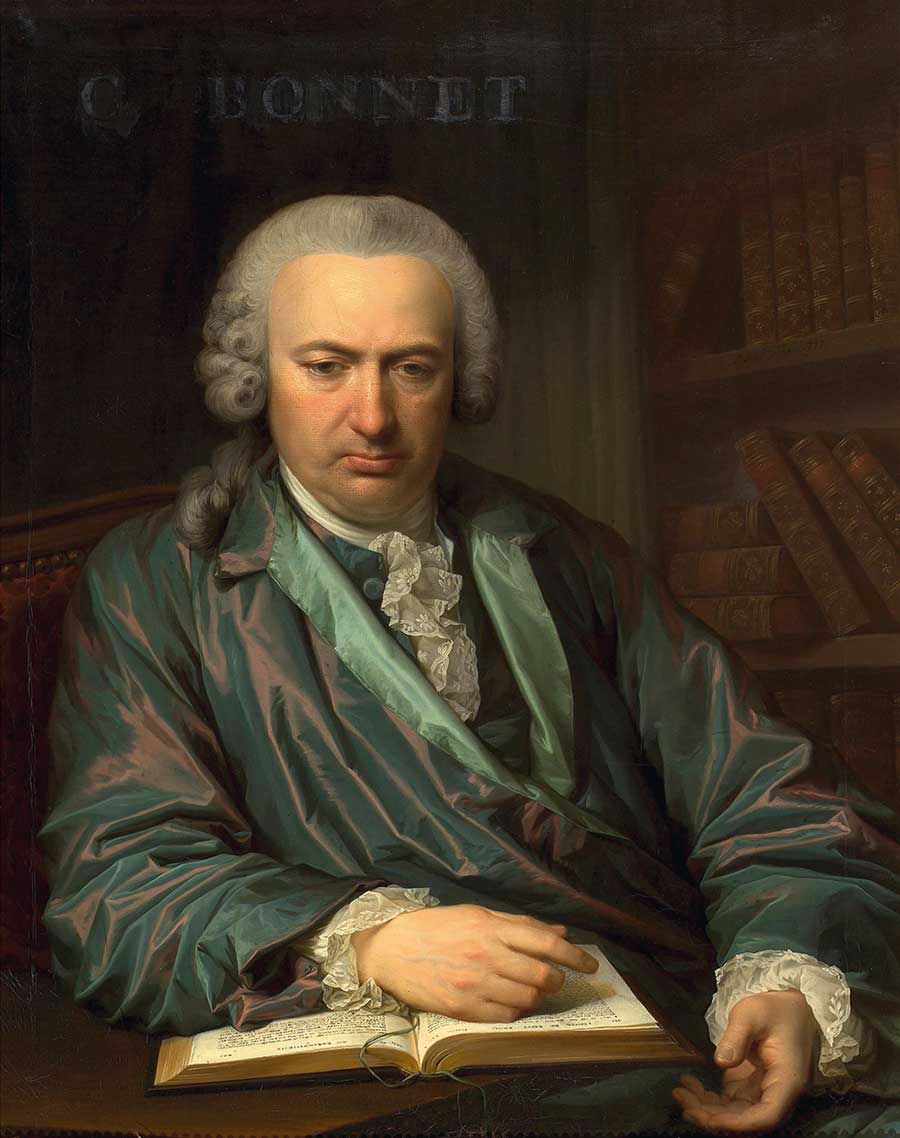 A Painting of Charles Bonnet