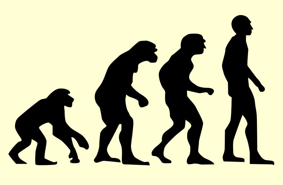 A silhouette of human evolution