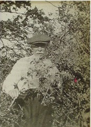 Black and white photo of Albert Ruth collecting plant samples