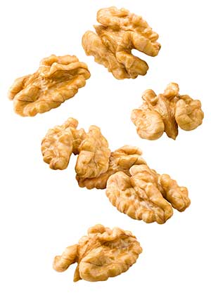 pieces of walnuts