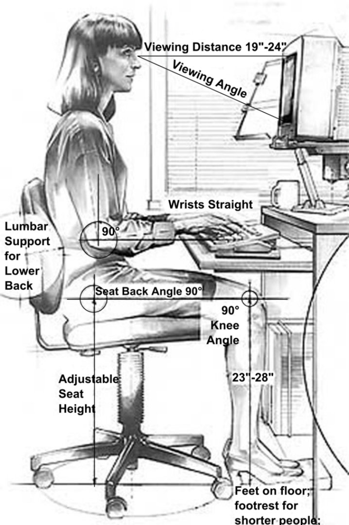 Drawing of person sitting at a desk working on a computer.